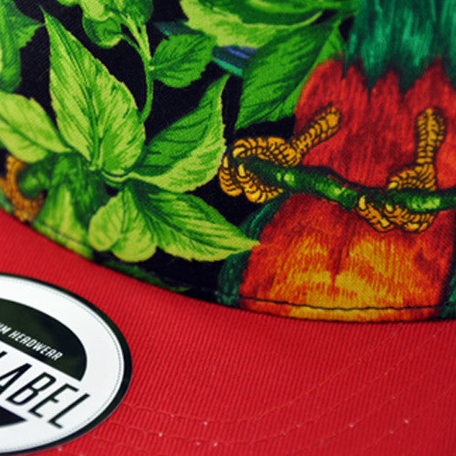 Parrot Edition Snapback - 3