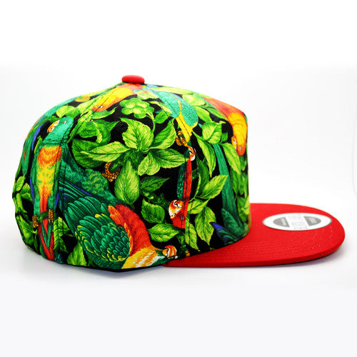 Parrot Edition Snapback - 1